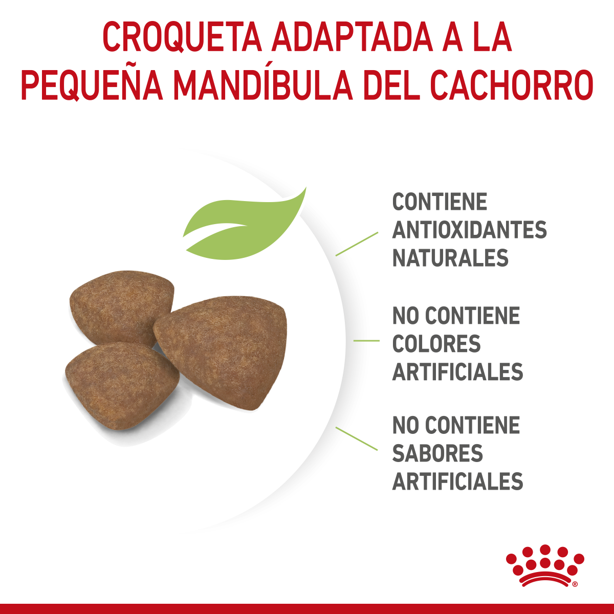 Royal Canin Cachorro Raza Pequeña Royal Canin Cachorro Raza Pequeña